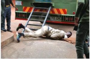 chimombe on the ground