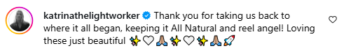 Comment from a social media user. Picture: Instagram@RitaOra