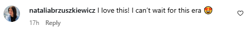 Comment from a social media user. Picture: Instagram@RitaOra
