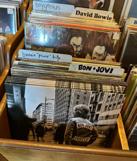 Bon Jovi’s classic vinyl albums chilling alongside legends like David Bowie and Prince. Picture: Instagram@BonJovi