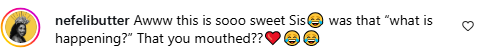 A comment from a social media user. Picture: Instagram@CandiceModiselle