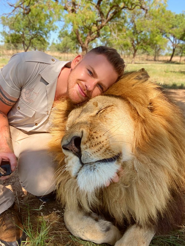 A lion rests calmly against Shandor’s arm. Picture: Supplied
