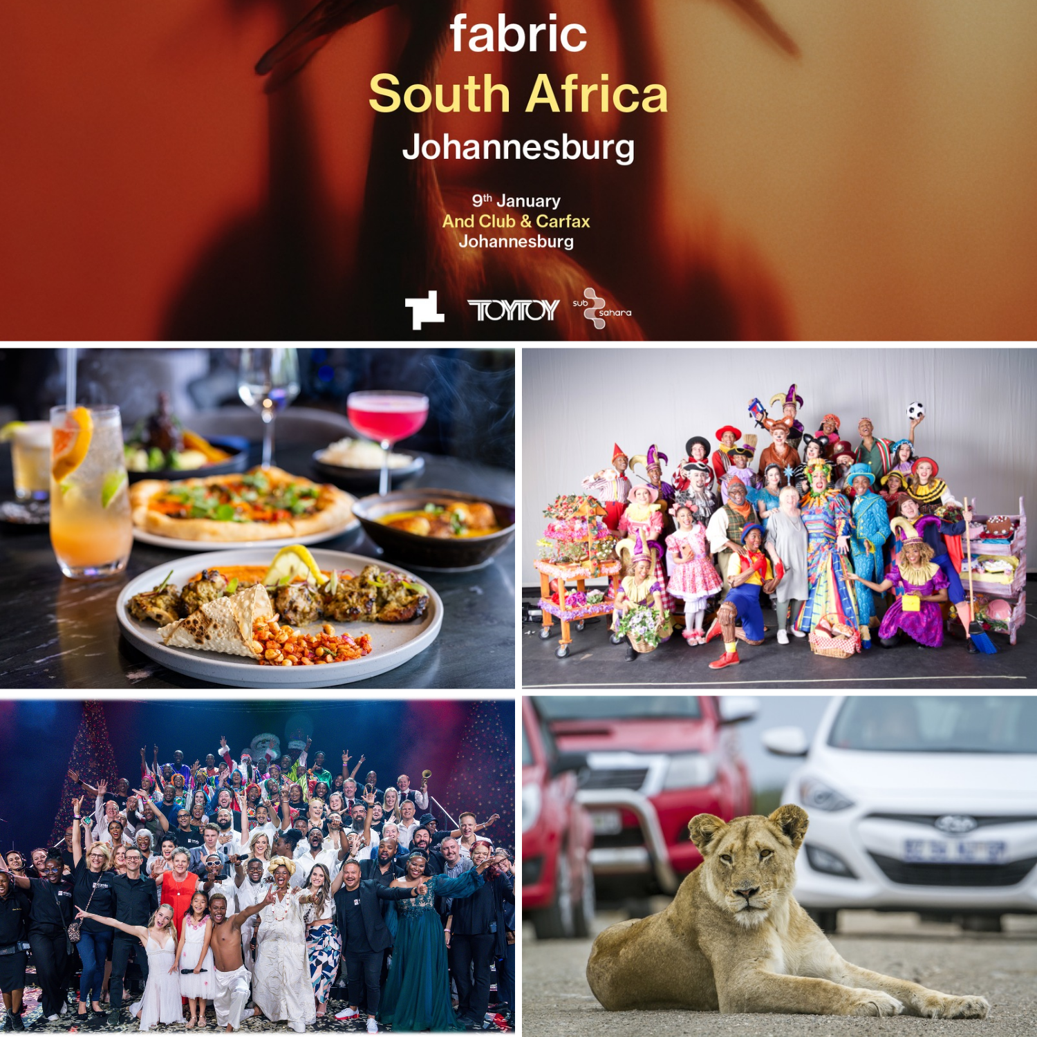 5 Things to do in Gauteng this December