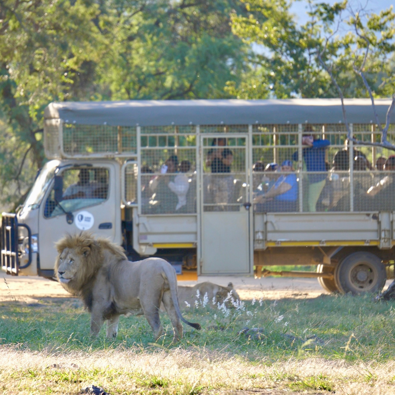 Bothongo Rhino & Lion Nature Reserve