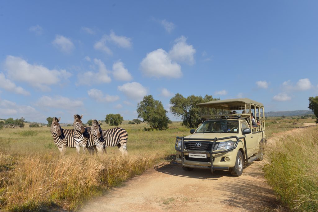 Your Safari, Your Way: Bothongo Rhino & Lion Self-Drive. Picture: Supplied
