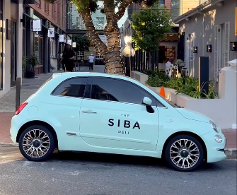 'The Siba Deli' logo shines on this stylish little car. Picture: Instagram@SibaMtongana