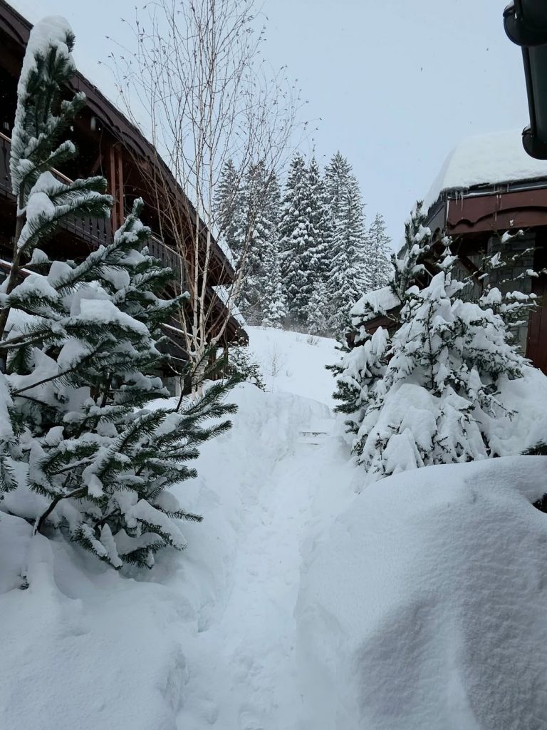 A snowy scene with trees covered in white. Picture: Instagram@JojoRobinson