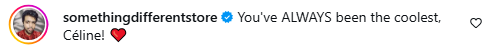 A comment from a social media user. Picture: Instagram@CélineDion.