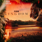 The new BBC wildlife documentary series, Kingdom.