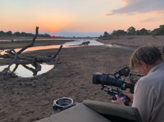 Cinematographer Toby Strong uses a drone to film a male lion (Panthera leo) standing in the Luangwa River at sunset. Picture: Supplied