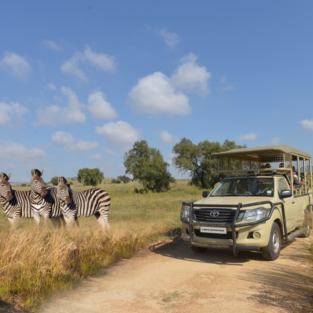 The Full Safari Tour at Bothongo Rhino & Lion Nature Reserve