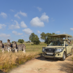 The Full Safari Tour at Bothongo Rhino & Lion Nature Reserve