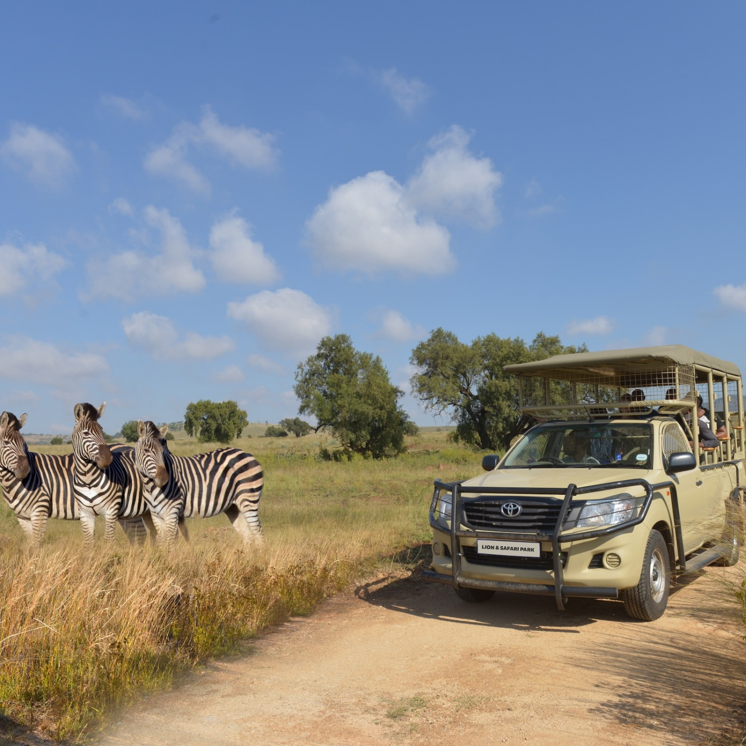 The Full Safari Tour at Bothongo Rhino & Lion Nature Reserve