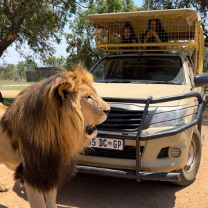 Johannesburg Parents: Here’s Why Your Kids Need a Safari