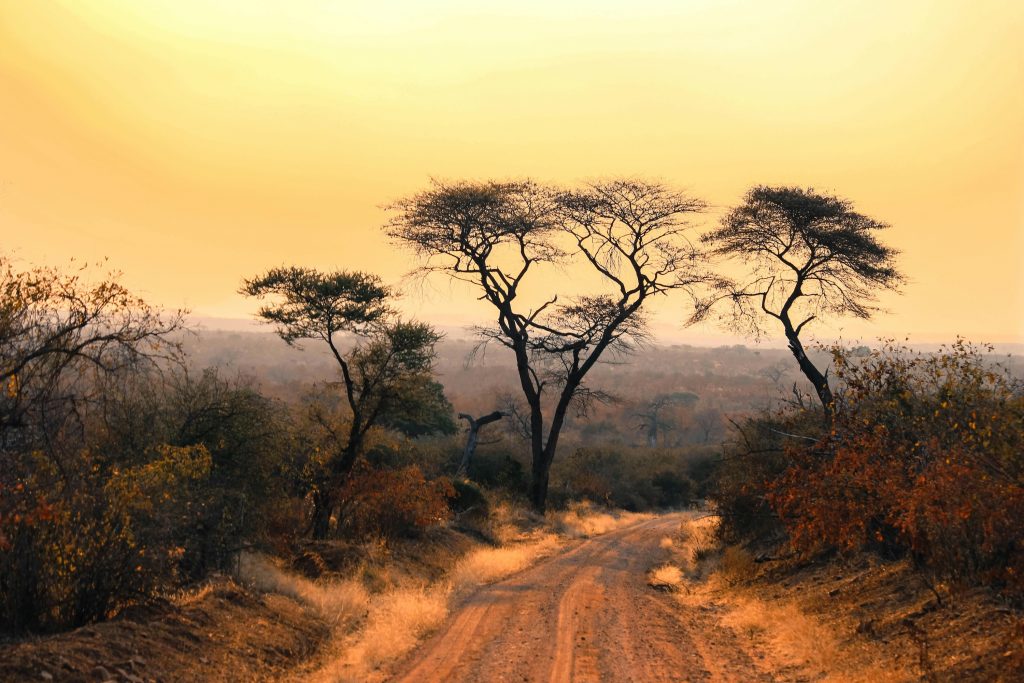 The winter safari. Picture: Supplied